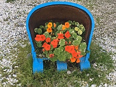 IMG_3698 Flower Bucket