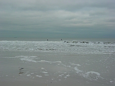 DSC00297 Jacksonville Beach