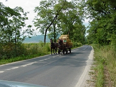 DSC00154 Horse & Hay Wagon