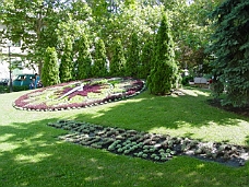 DSC00231 Flower Clock