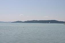 IMG_0365 Lake Balaton Swans