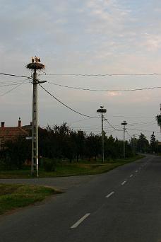 IMG_0472A Three Tiszadada Stork Nests