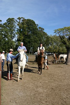 IMG_0602 A Horseback Riding Experience