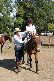 IMG_0604 A Horseback Riding Experience