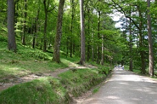 IMG_2470 Glendalough Trail