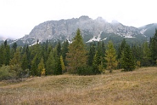 IMG_6549 Meadow Leading To Mountains