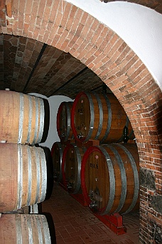 IMG_6150 Many Large Wine Barrels