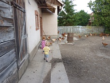 P1020264 Emily And Thomas Loved The Chickens