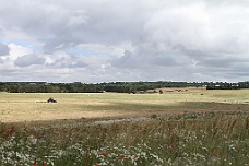 IMG_3560 Salisbury Plain