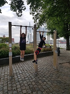 20190806_160324 Pull Up Bars