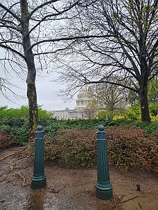 20240403_112201 Capitol Through The Trees