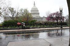 IMG_6814 Rainy Capitol