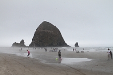 IMG_7149 Haystack Rock