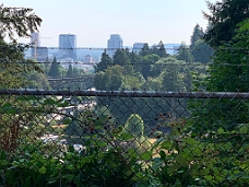 IMG_7499 Portland View From Trolley In Park