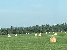 IMG_4136 Cowboy Trail - Route 22, Alberta