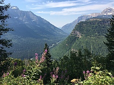 IMG_4187 Glacier Park, Montana