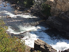 IMG_3111-8-17-17 Swiftcurrent Creek