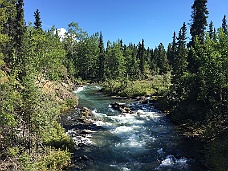 IMG_3789 Atlin Stream