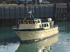 IMG_2419 Seward Major Marine 8.5 Hour Tour