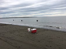 IMG_2463 Cook Inlet Dip Netting