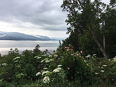 IMG_2483 Kachemak Bay