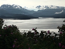 IMG_3148 Kachemak Bay