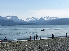 IMG_2495 Kachemak Bay