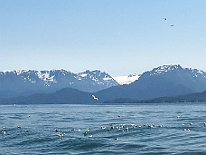 IMG_3168 Kachemak Bay