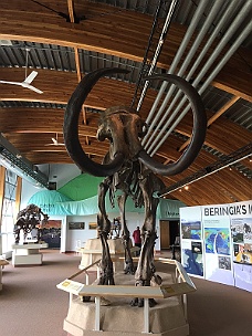 IMG_2193 Beringia Interpretive Center