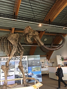 IMG_2194 Beringia Interpretive Center