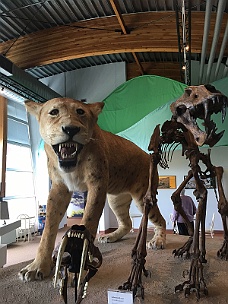 IMG_2195 Beringia Interpretive Center