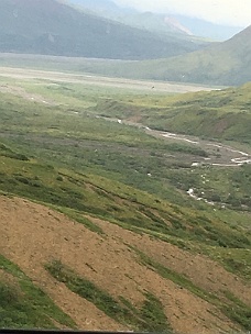 IMG_2749 Denali National Park