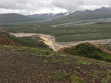 IMG_2763 Denali National Park