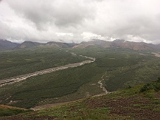 IMG_2764 Denali National Park