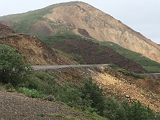 IMG_3496 Denali National Park