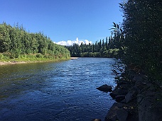 IMG_2840 Chena River At Back Of Campsite