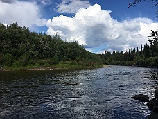 IMG_3539 Chena River