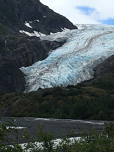 IMG_2407 Exit Glacier