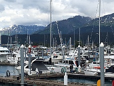 IMG_2484 Seward Harbor