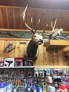 IMG_1837 Wall Drug Store, South Dakota