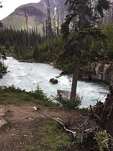 IMG_1977 Kootenay National Park 6-21-17