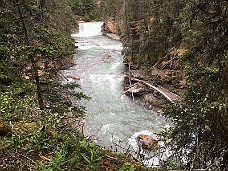 IMG_1435 Johnston Canyon