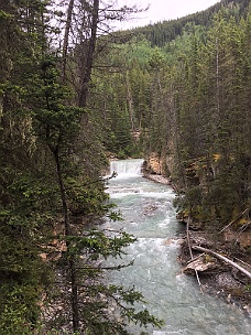 IMG_2014 Johnston Canyon