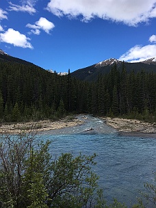 IMG_2026 Along Icefield Parkway (Route 93) Alberta