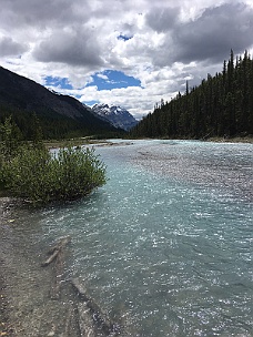 IMG_2030 Along Icefield Parkway