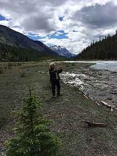 IMG_2031 Along Icefield Parkway