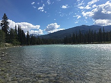 IMG_1549 Jasper National Park