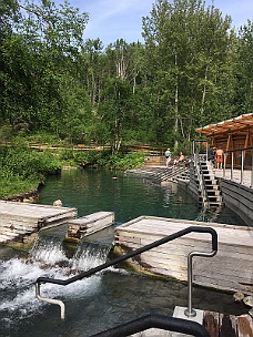 IMG_2129 Liard Hot Springs