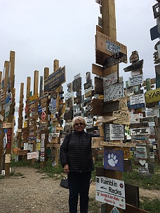 IMG_2135 Sign Post Forest