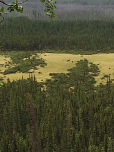 IMG_2140 Boondock Site On Alcan Near Teslin